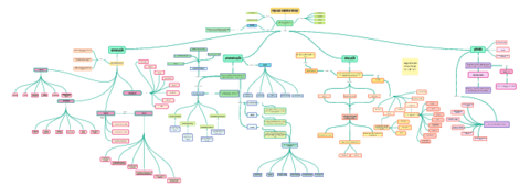 Administracion-Mapa-Primer-Parcial.pdf