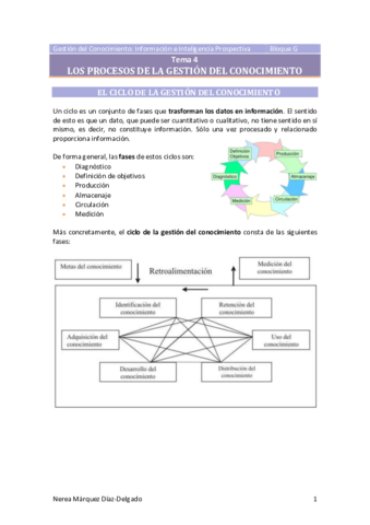 Tema-4-Los-procesos-de-la-gestion-del-conocimiento.pdf