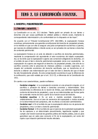 TEMA-2.pdf