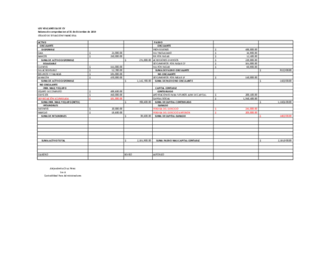 Balance-de-Estados-De-Situacion-Financiera-Actividad-1.pdf