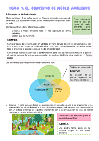 Tema12022AlbertoMembrillo.pdf