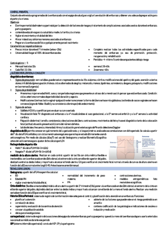 CONTROL-PRENATAl.pdf