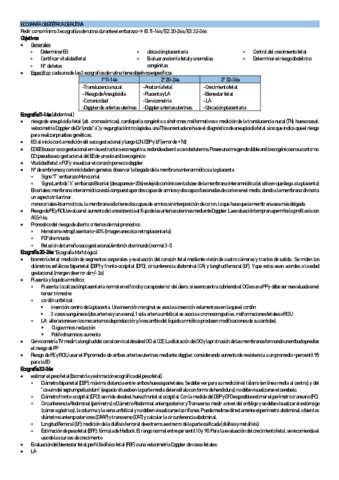 Ecografia-de-rutina.pdf