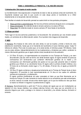 Resumen Tema 3.pdf