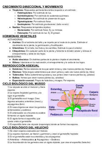 T9-Bio-B1oD.pdf