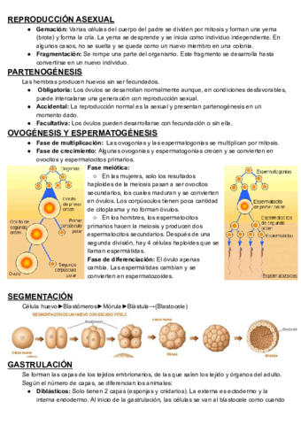 Reproduccion-asexual-.pdf