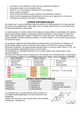 Lipidos.pdf