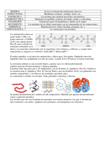 Proteinas.pdf