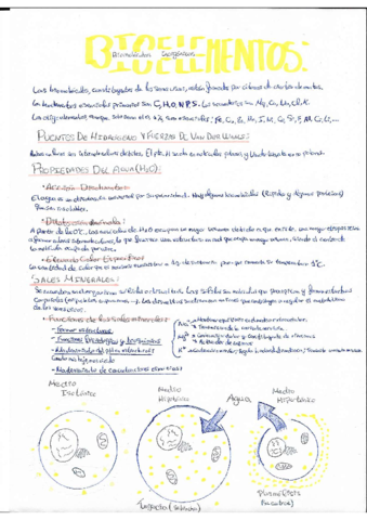 BIOELEMENTOS.pdf