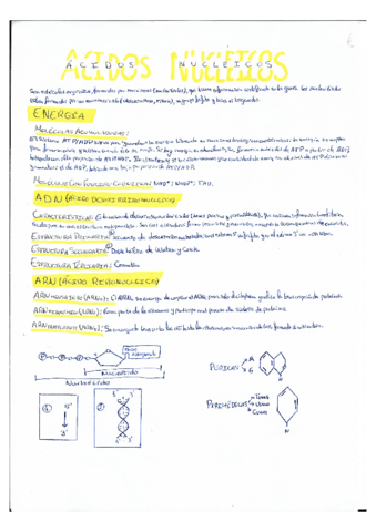 Membrana-Celular.pdf