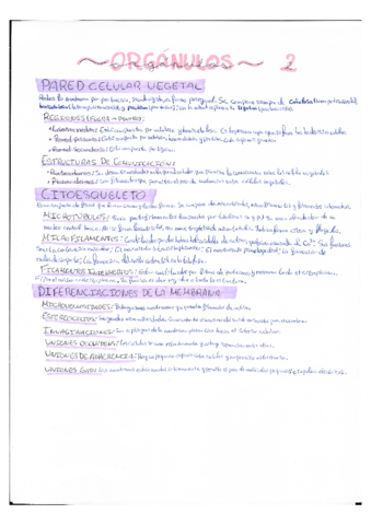 Metabolismo.pdf