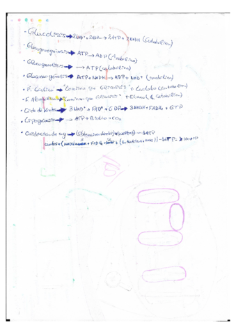 Mutaciones.pdf