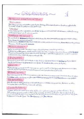 Organulos-2bach.pdf