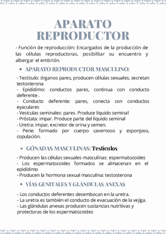 APARATO-REPRODUCTOR.pdf