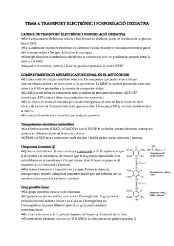 2n-parcial-BIM.pdf
