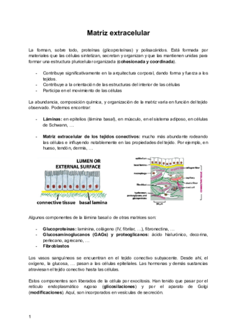 Tema-2-Matriz-extracelular.pdf