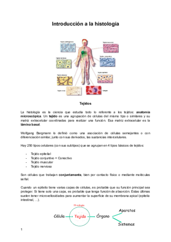Tema-1-Introduccion-a-la-histologia.pdf