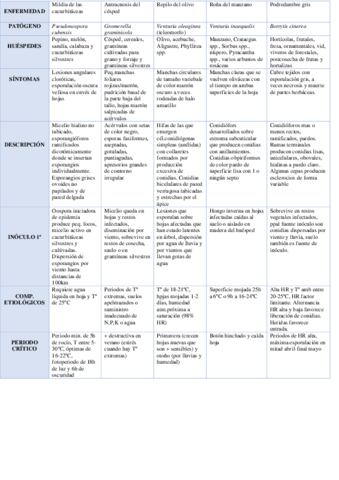 Diagnosticos-PCmerged-1.pdf