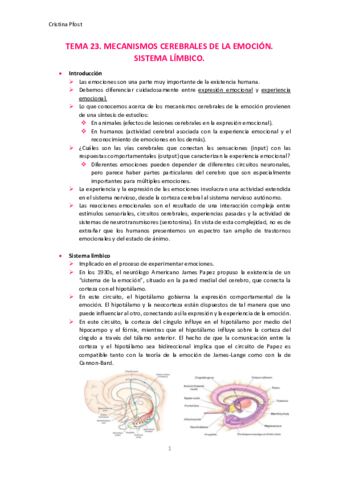 TEMA-23.pdf