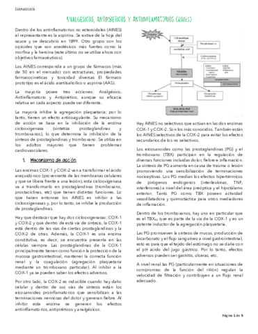 AINES-apunte.pdf