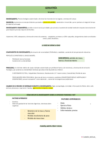 RESUMEN-geriatria-1er-parcial.pdf