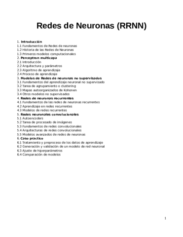 resumenRRNN.pdf