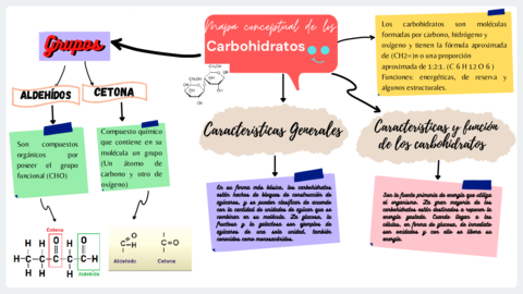 Mapa-metal-carbohidratos.pdf