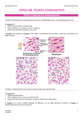 5 Resumen tipos de tejido conjuntivo