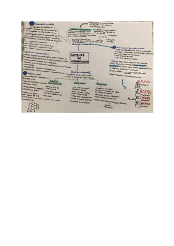 tecnologia-sistema-de-comunicacion.pdf