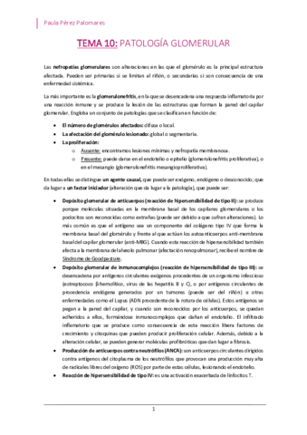 TEMA-10-PATOLOGIA-GLOMERULAR.pdf