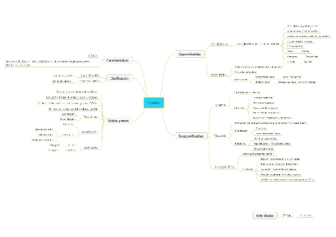 Mapa-conceptual-Lipidos.pdf