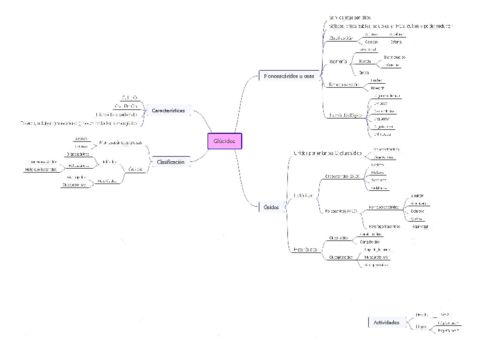 Mapa-conceptual-Glucidos.pdf