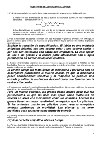 Cuestiones-EvAU-Lipidos.pdf