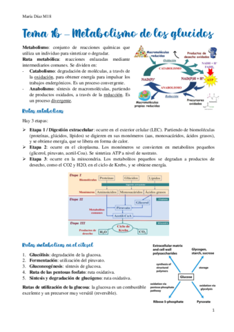 t1b.pdf