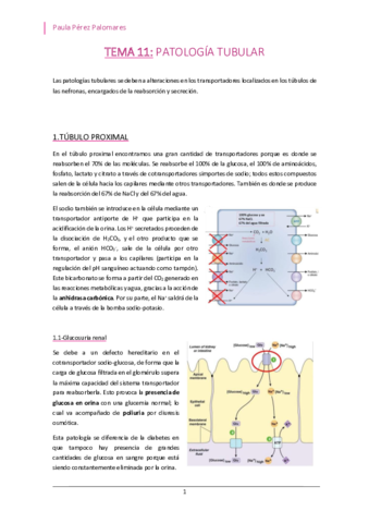 TEMA-11-PATOLOGIA-TUBULAR-.pdf