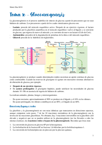 t1c.pdf