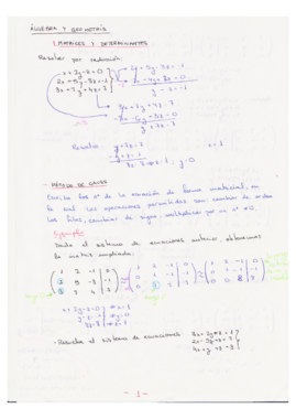 Determinantesdiagonalizacion y espacio vectorial.pdf