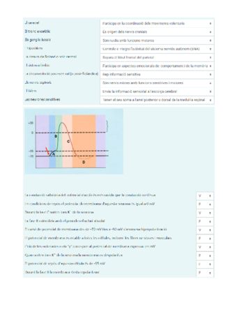 BONUS 2 FISIO.pdf