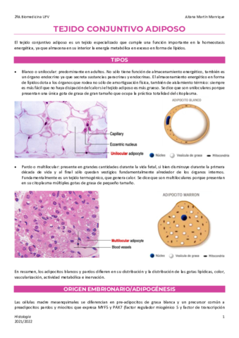 6-Tejido-adiposo.pdf