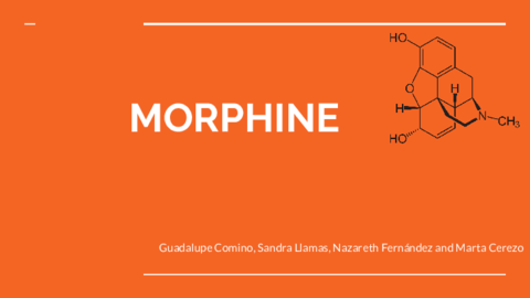 MORPHINE.pdf