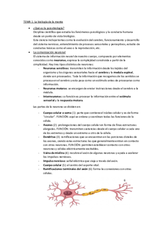 Tema-1-Bilogia-de-la-Mente.pdf