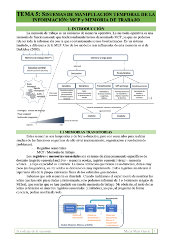 TEMA 5. Sistemas manipulación de info