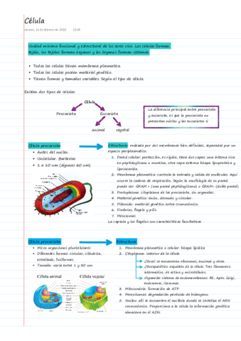 Generalidades-de-celula.pdf