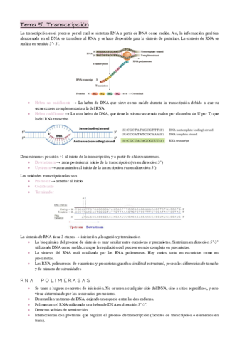 Tema-5.pdf