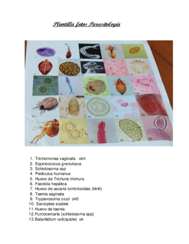 Plantilla-fotos-Parasitologia.pdf