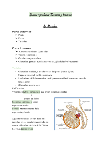ap.pdf