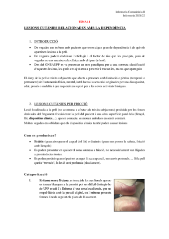 TEMA-11.pdf