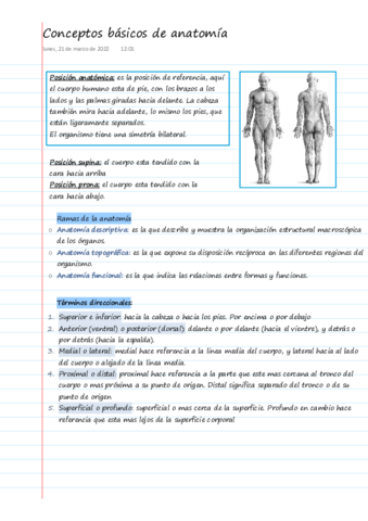 conceptos-basicos-de-anatomia.pdf