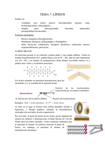 Tema-7-Lipidos.pdf