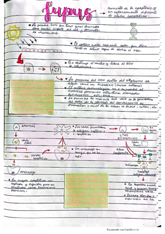 10-resumenes-de-fisiopatologia.pdf